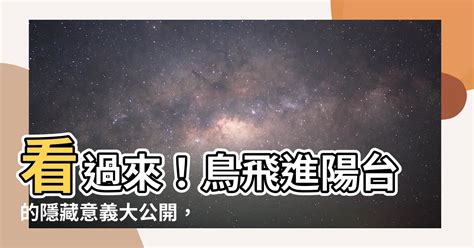 鳥飛來陽台|【鳥飛進陽台】看過來！鳥飛進陽台的隱藏意義大公開，好運馬上。